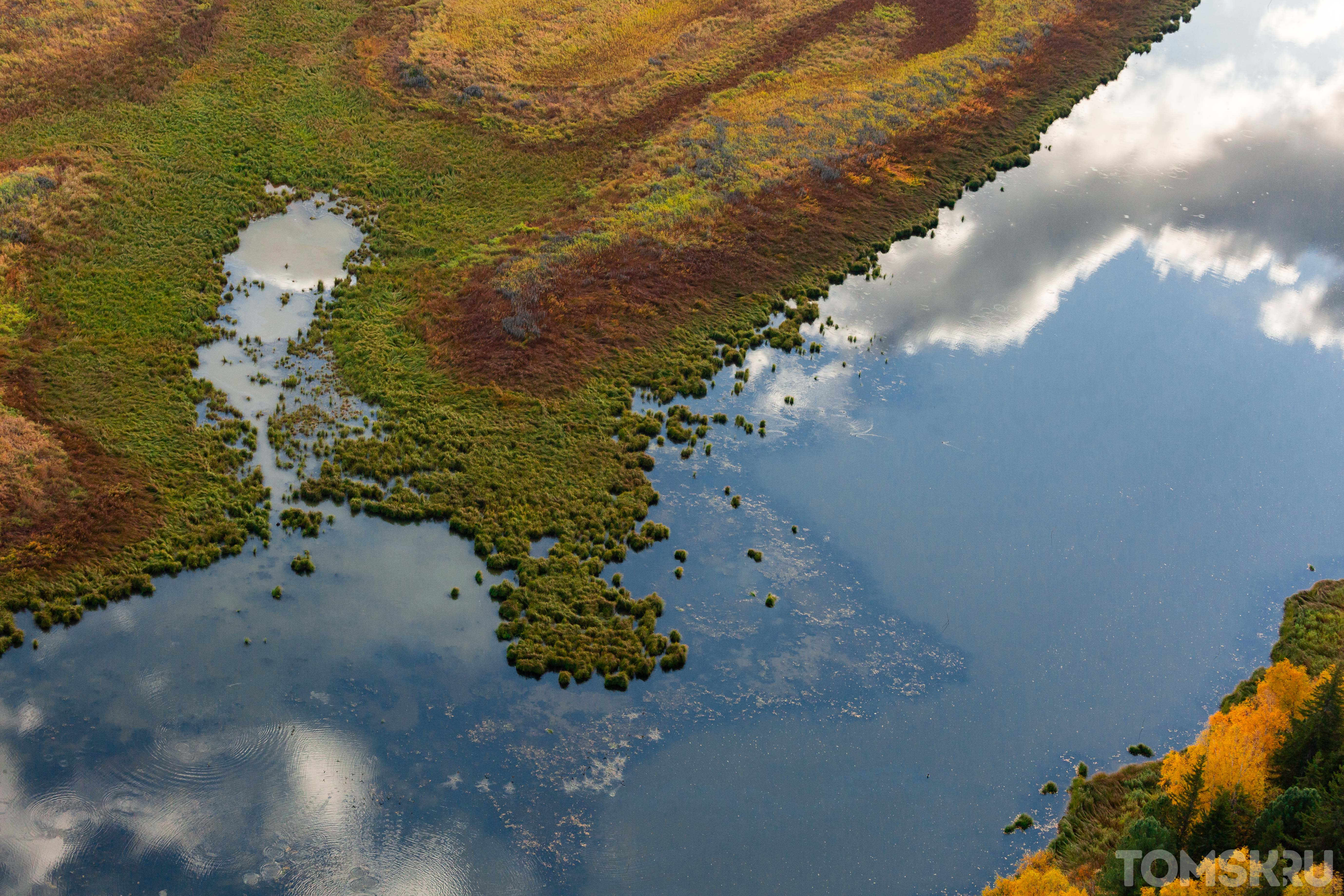 Васюганское болото западная сибирь. Васюганские болота Томская область. Томск Васюганское болото. Васюганские болота, Западная Сибирь. Васюганское болото заповедник.