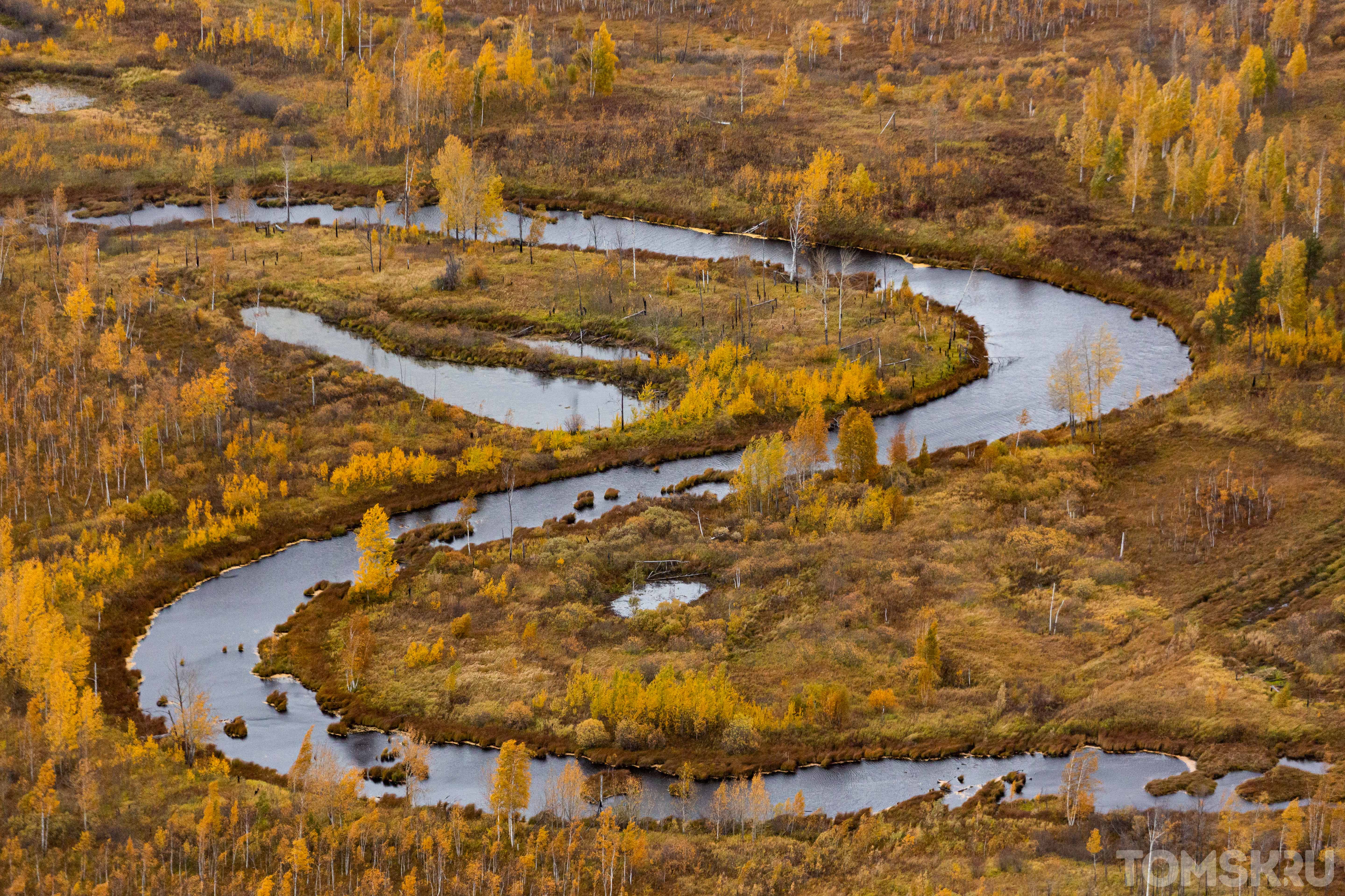 Крупнейшей рекой западной сибири является. Западная Сибирь Васюганский заповедник. Томск Васюганское болото. Западно Сибирская равнина Васюганское болото. Западная Сибирь река Васюган.