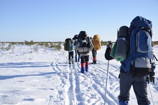 Экспедиция по зимнему Васюгану: зачем идти на болото в -40