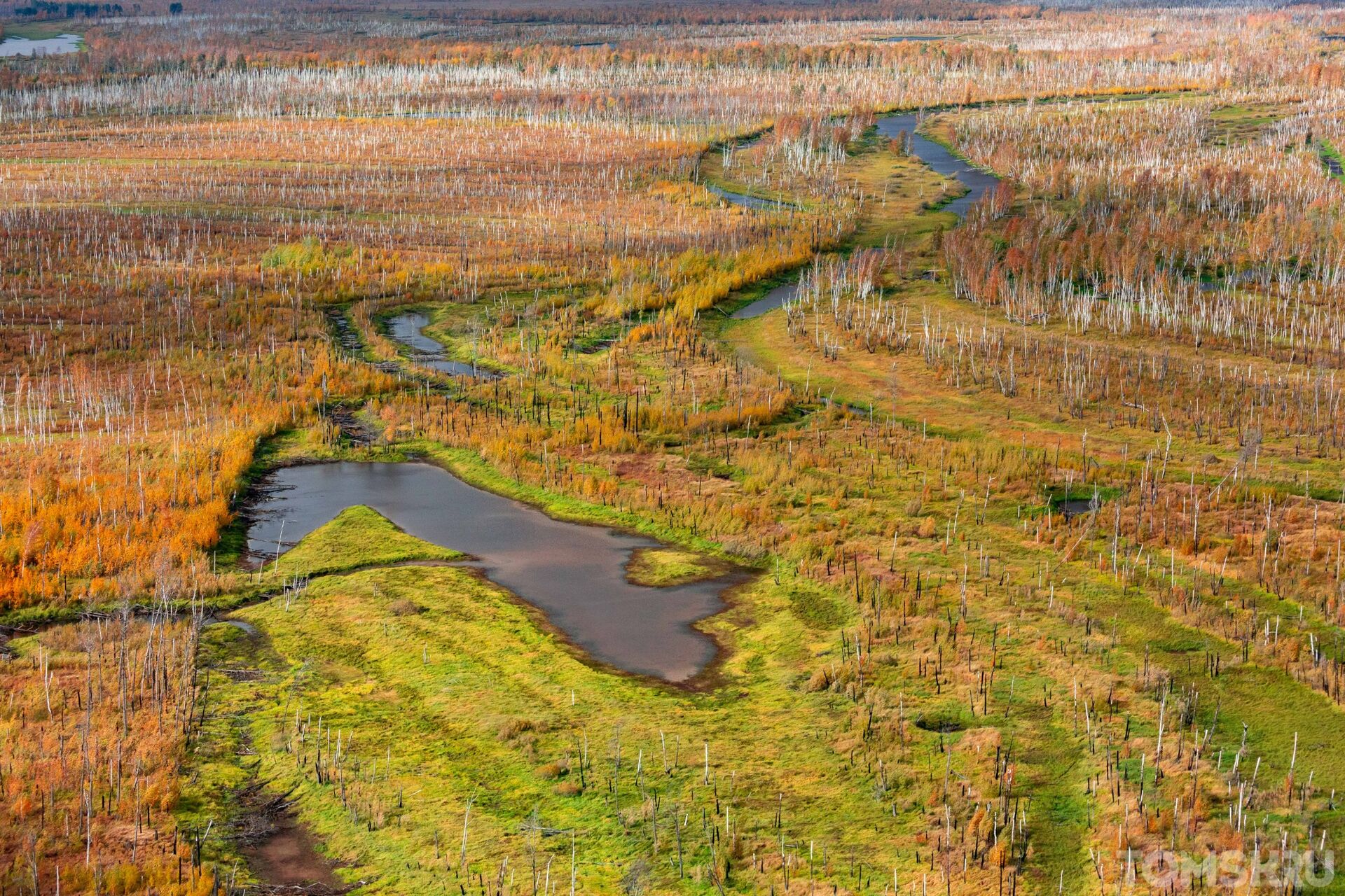Болото с высоты. Васюганские болота Томская область. Васюганские болота, Западная Сибирь. Васюганские болота заповедник. Томск Васюганское болото.