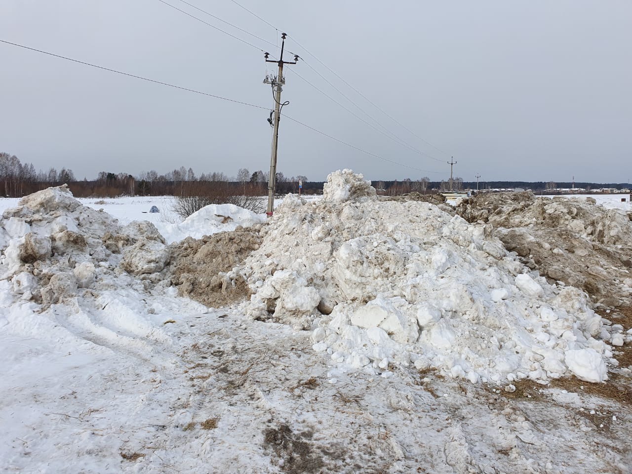 Томские моржи бьют тревогу: озеро Боярское заваливают грязным снегом