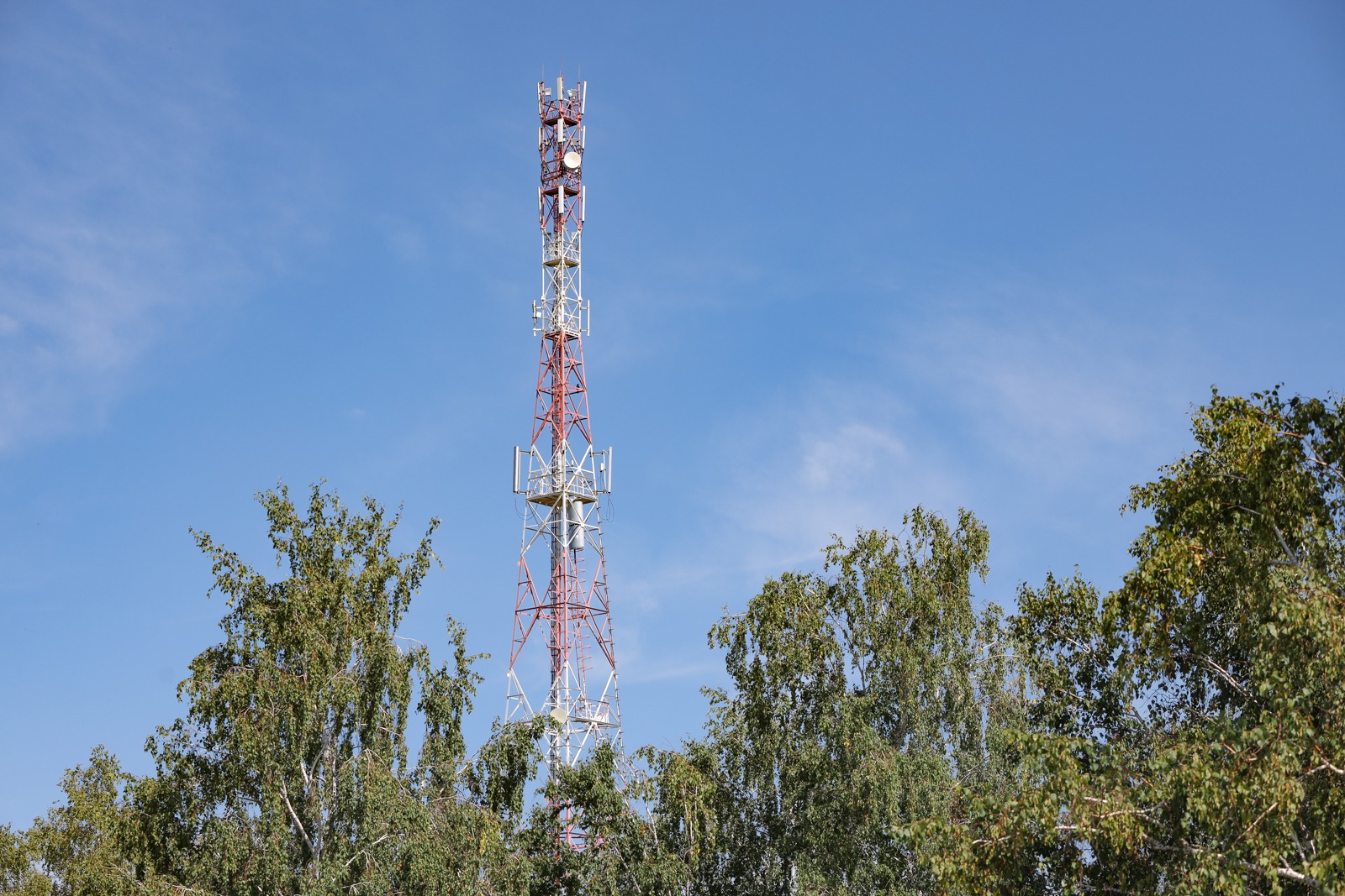 60 тысяч жителей Томской области впервые получили доступ к 4G МегаФона