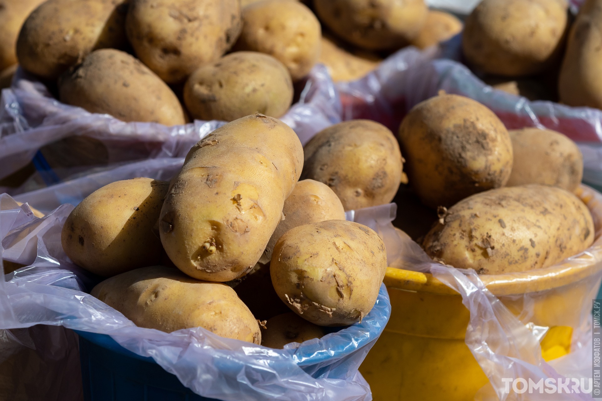 В Томской области подорожал картофель