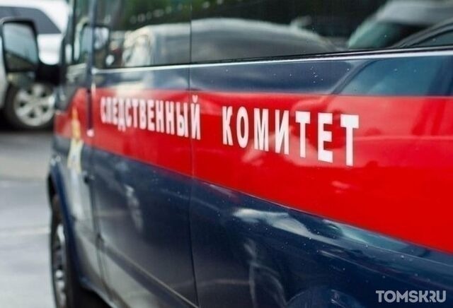 В Томске на пятилетнего ребенка упала штанга турника: СК проводит проверку