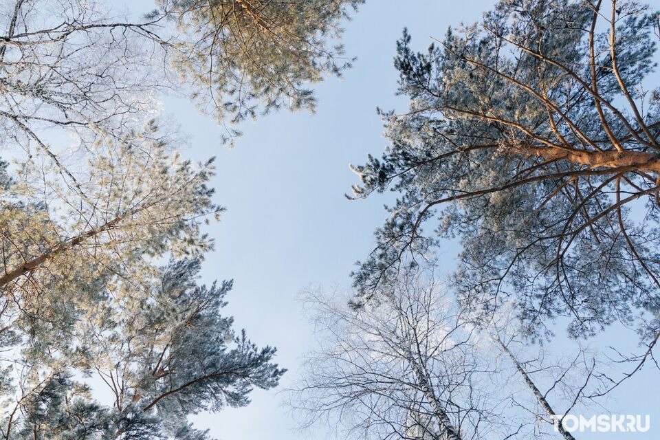 Синоптики обещают очередные заморозки в Томской области