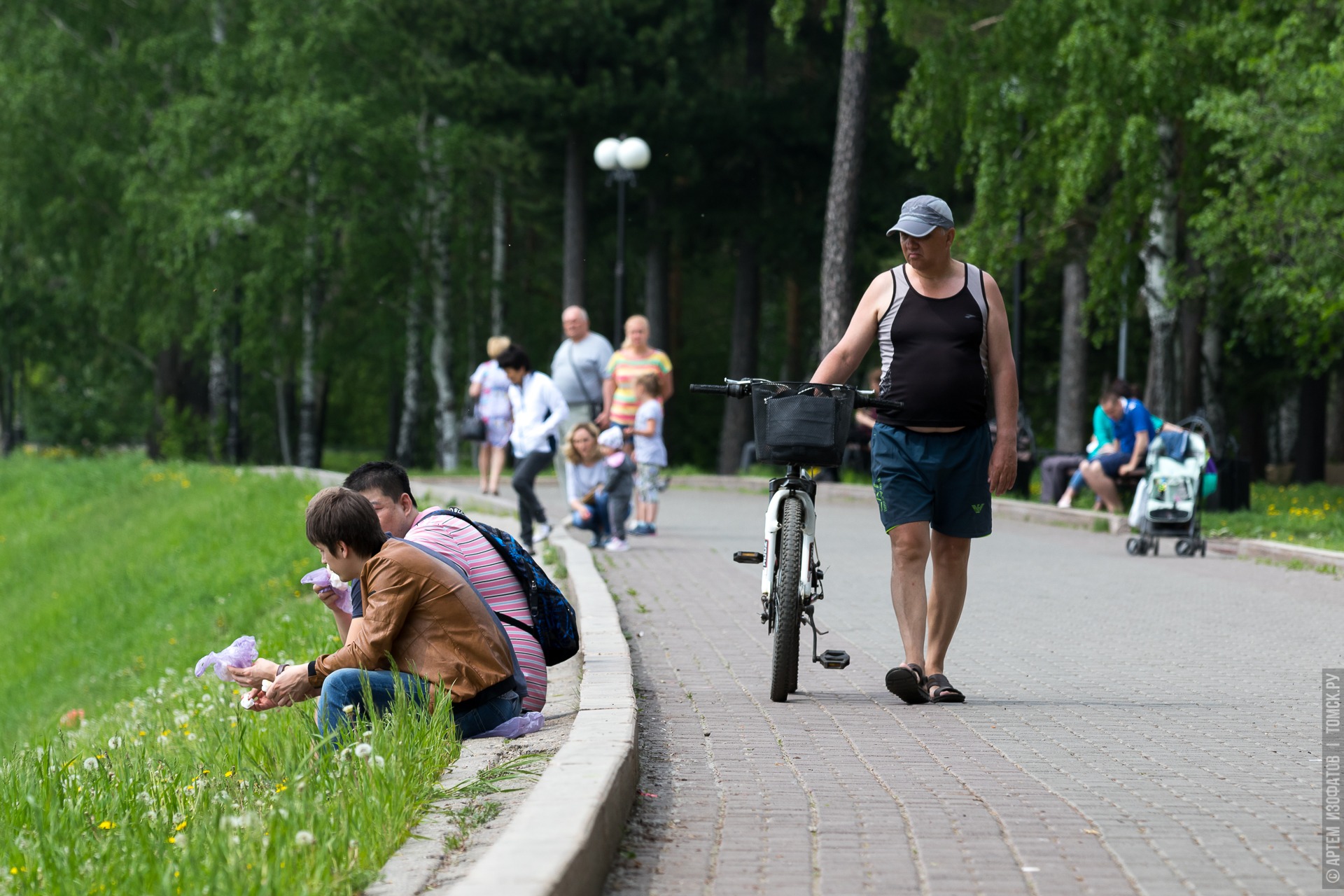 В Томск в начале июля придет тридцатиградусная жара
