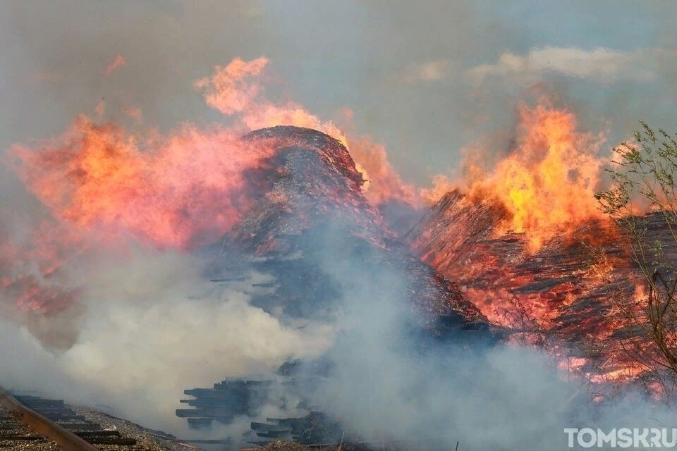 Число групп для тушения лесных пожаров  увеличат на 40 человек