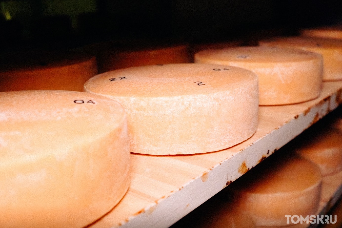 Производство сыра в Томской области выросло в 25 раз