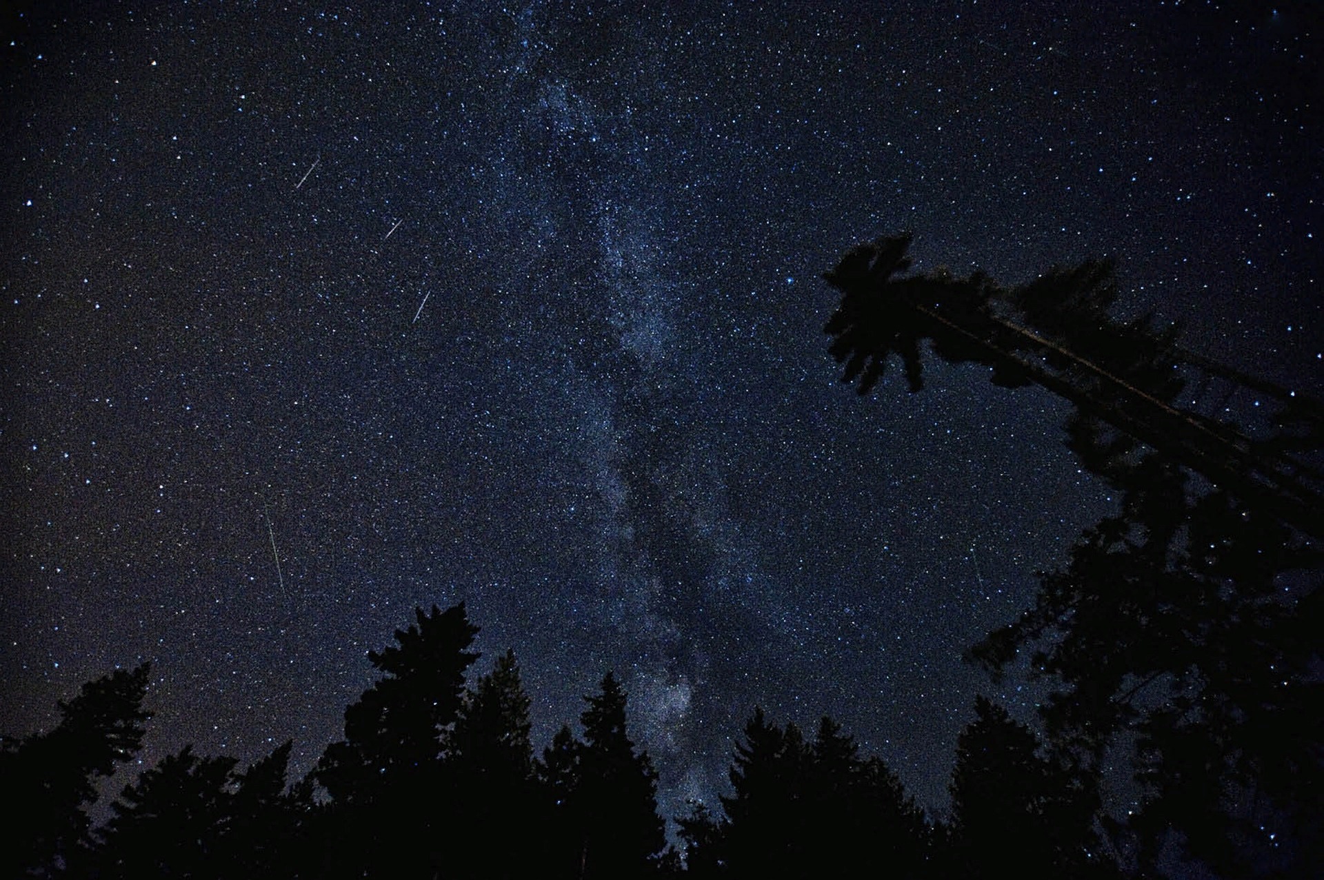 Томский астроном рассказал, где посмотреть метеорный поток в новогоднюю ночь