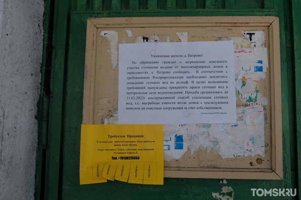 10 лет без очистных: в деревне Петрово канализационные стоки сливают в особо охраняемый кедровник