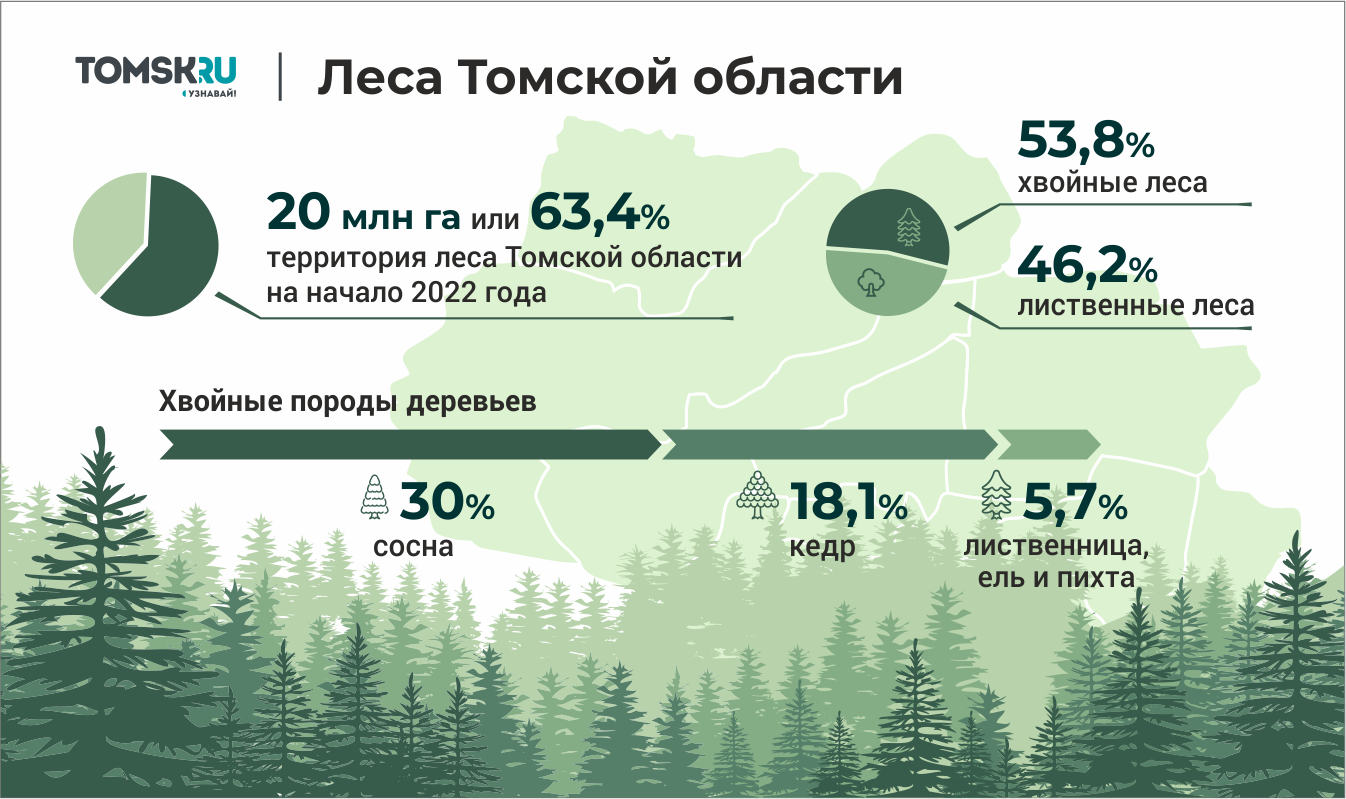 Рост гибели