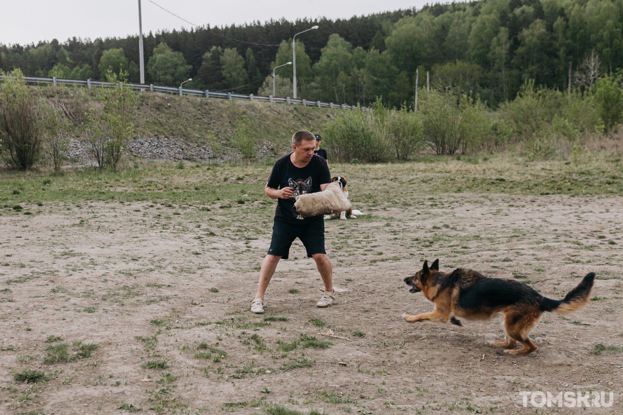 «Научим любую собаку»: томская династия кинологов о пользе дрессировки и особой любви к животным