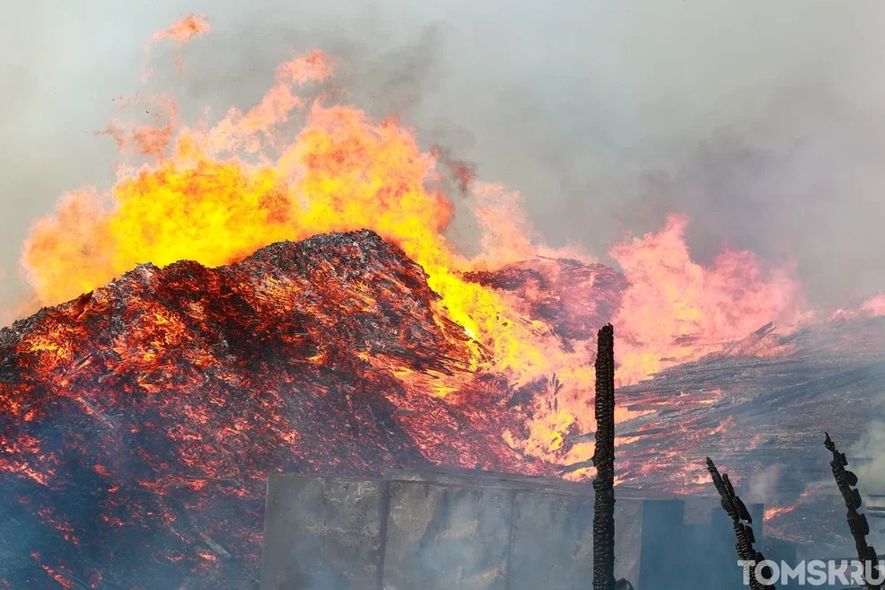 МЧС: больше половины пожаров в Томской области связано с горящей травой и мусором