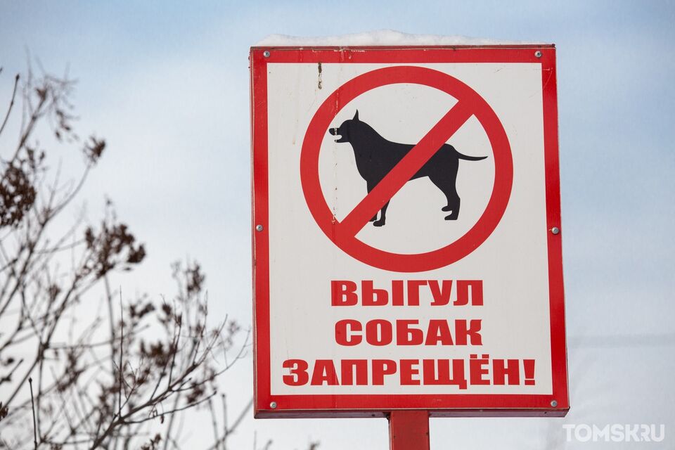 В Томской области могут ввести запрет на самовыгул домашних животных 