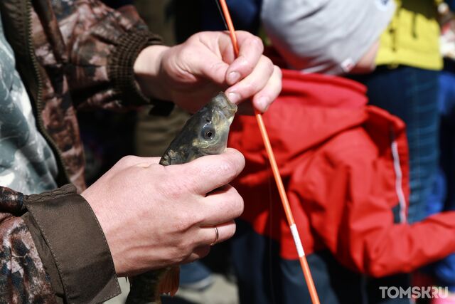 Житель Томской области незаконно выловил рыбы почти на 340 тысяч рублей