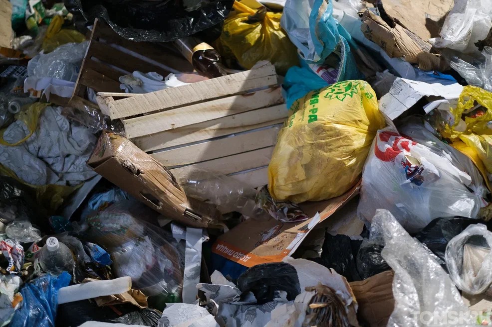 Больше 400 килограммов мусора выбросил среднестатистический томич в прошлом году