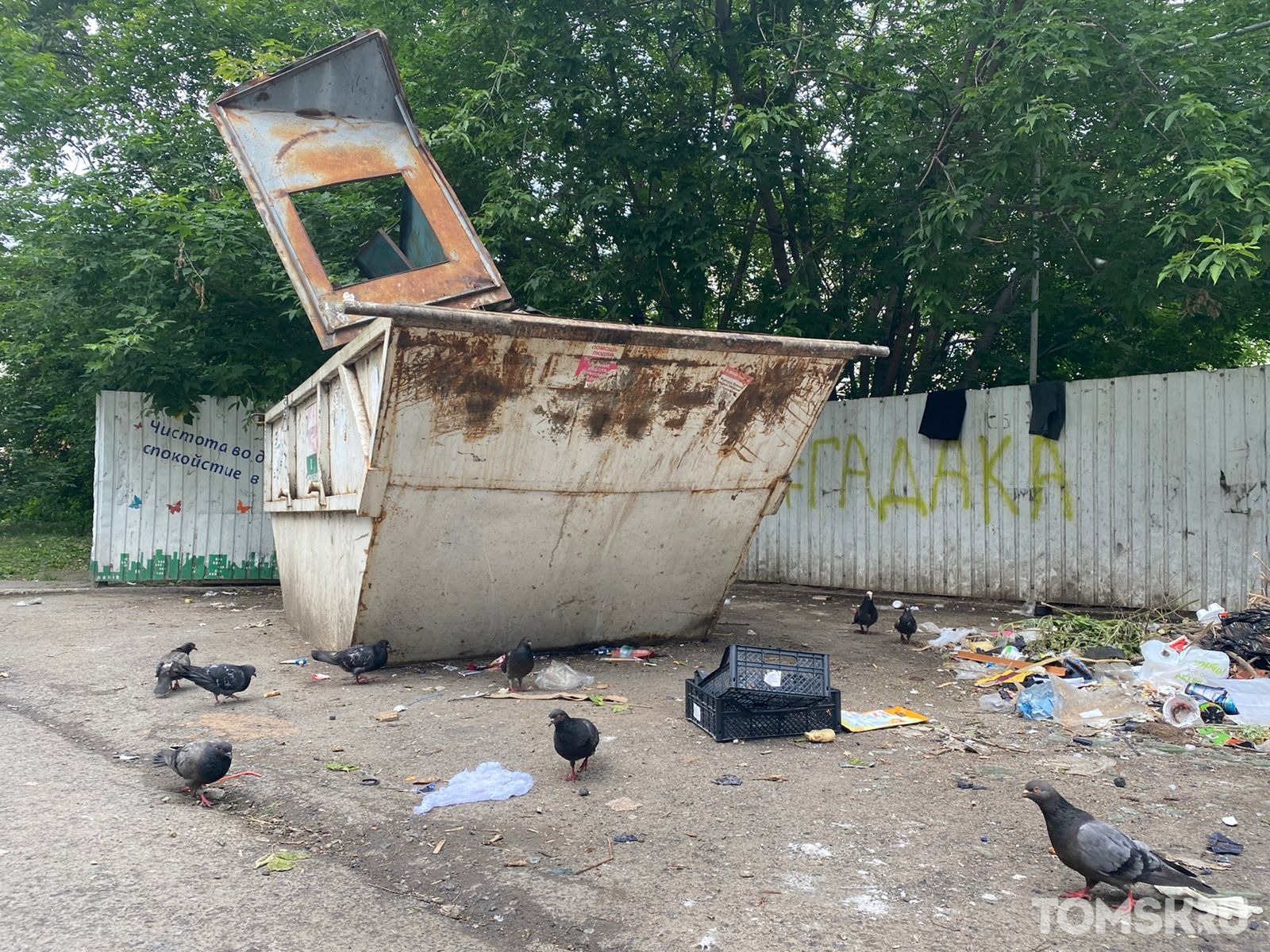 Стихийные свалки в Томске: жители города продолжают жаловаться на мусорные  горы | 07.07.2022 | Томск - БезФормата