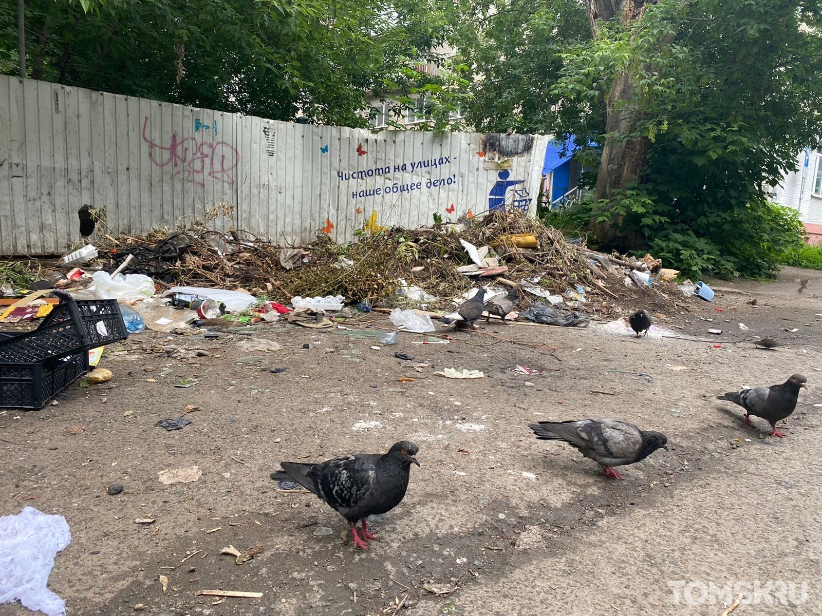 Стихийные свалки в Томске: жители города продолжают жаловаться на мусорные  горы | 07.07.2022 | Томск - БезФормата