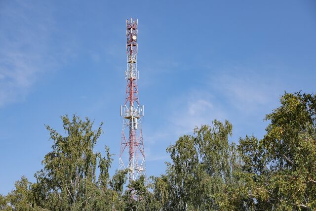 МегаФон ускорил интернет в малонаселенных территориях Томской области  
