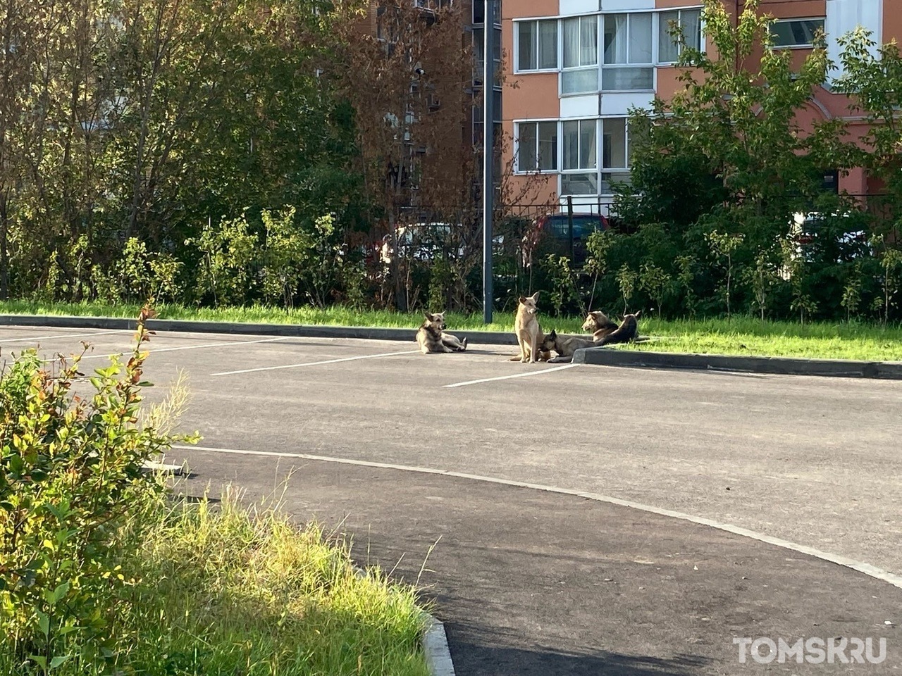 Строительство дома для расселения аварийного жилья в переулке Целинном  завершено. Переселять людей начнут осенью | 30.08.2022 | Томск - БезФормата