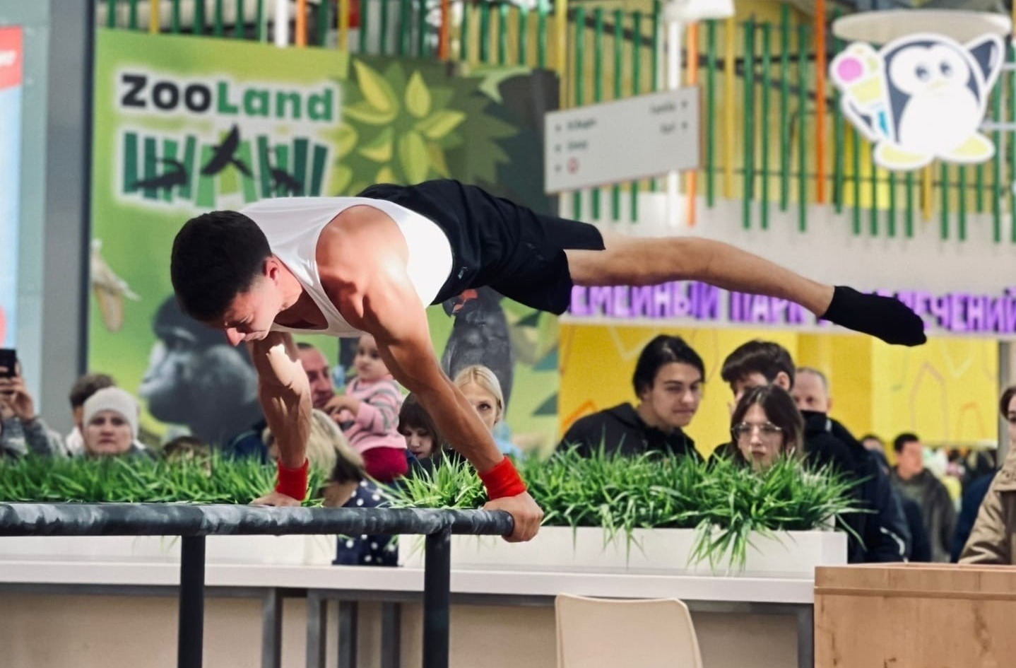 Открытый чемпионат по Street workout прошел в Томске