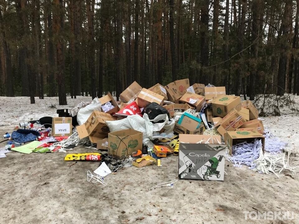 Фотография свалки мусора в лесу теперь может стать причиной возбуждения административного дела