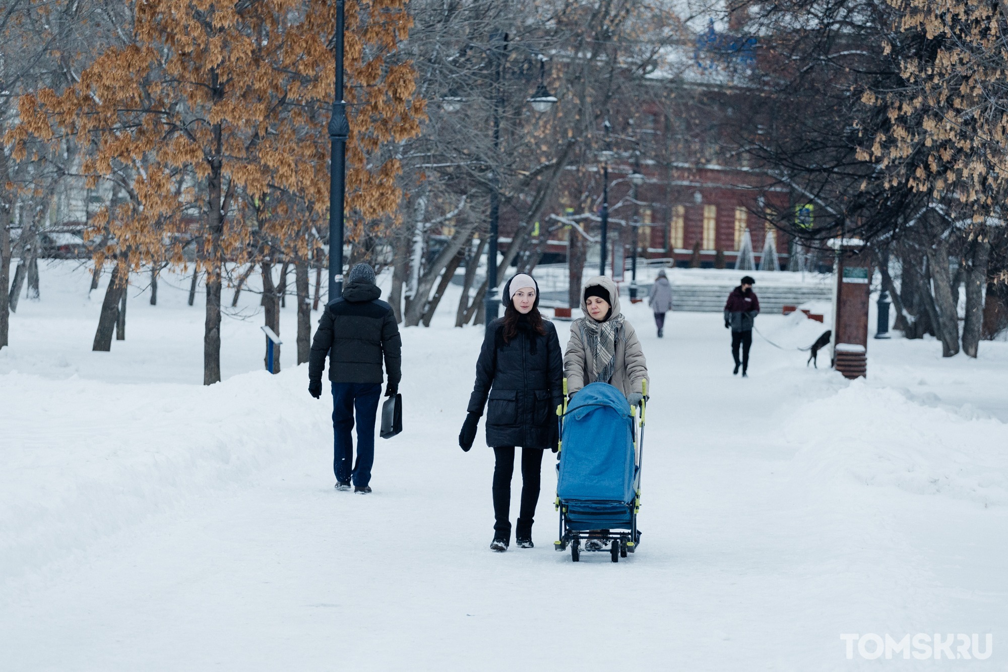 Первый рабочий день в Томске будет теплым и облачным