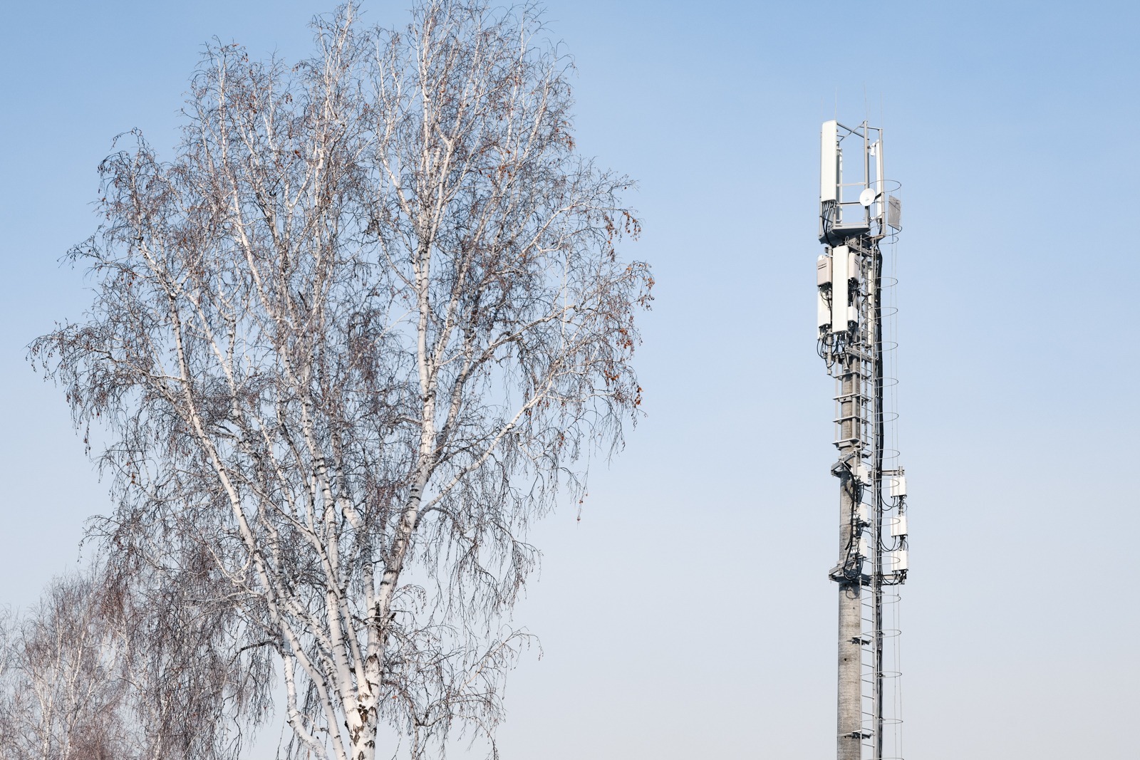 Покрытие связью и интернетом в 11 районах Томской области стало лучше