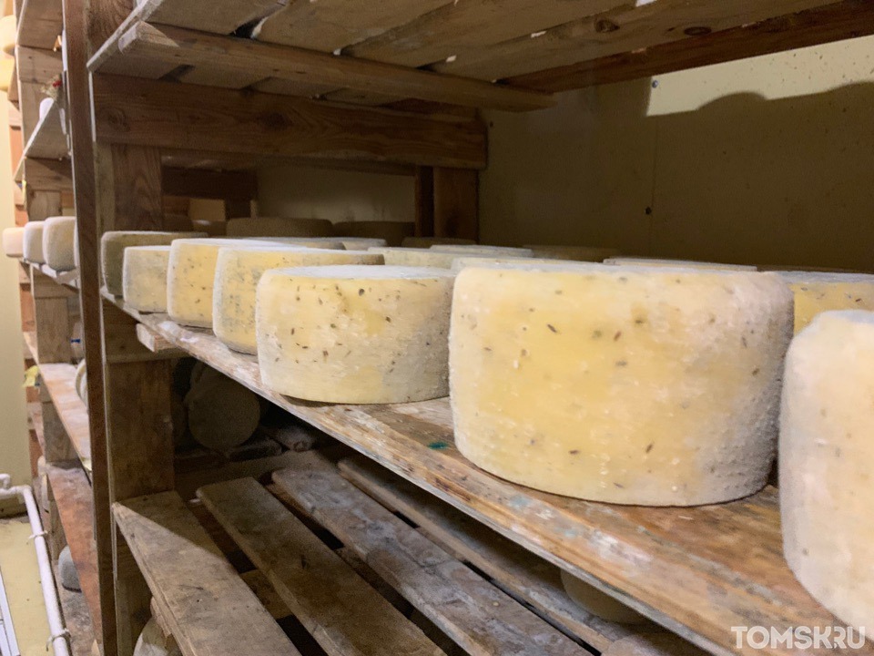 Производство сыра в Томской области за год выросло до 400 тонн