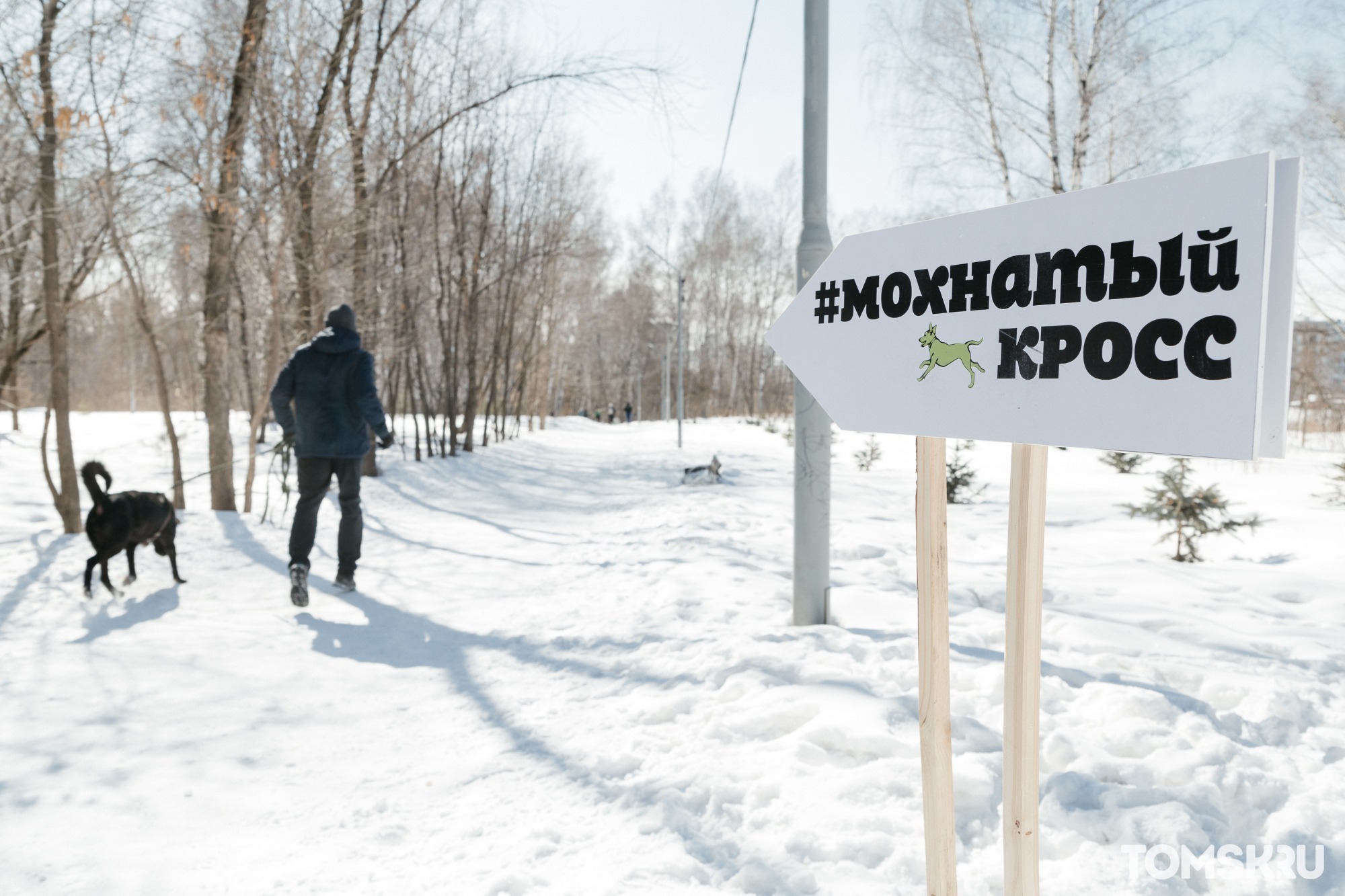 В конце марта в Томске пройдет традиционный благотворительный забег «Мохнатый кросс»