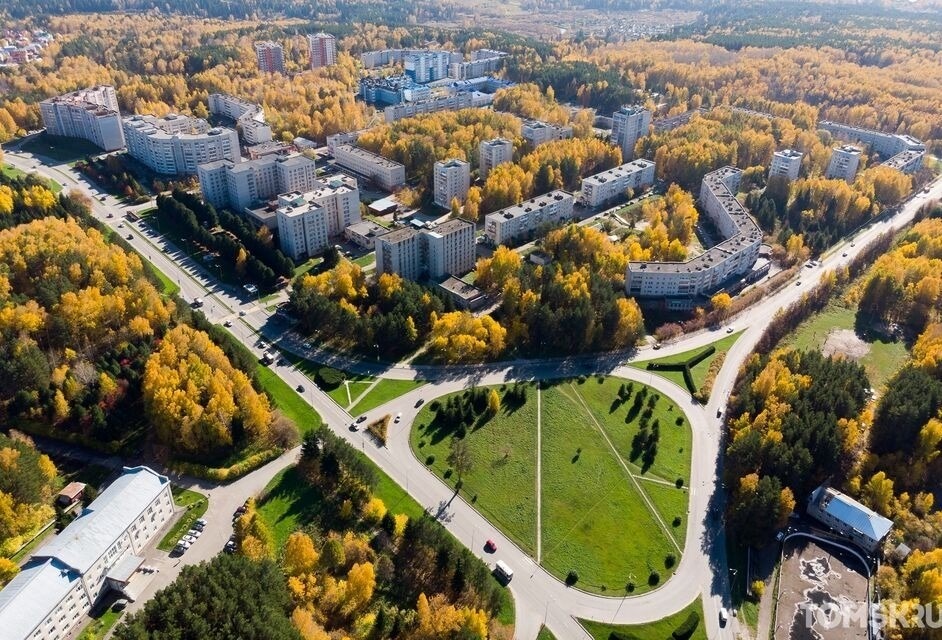 Эксперты посчитали самые многочисленные деревья в Томской области