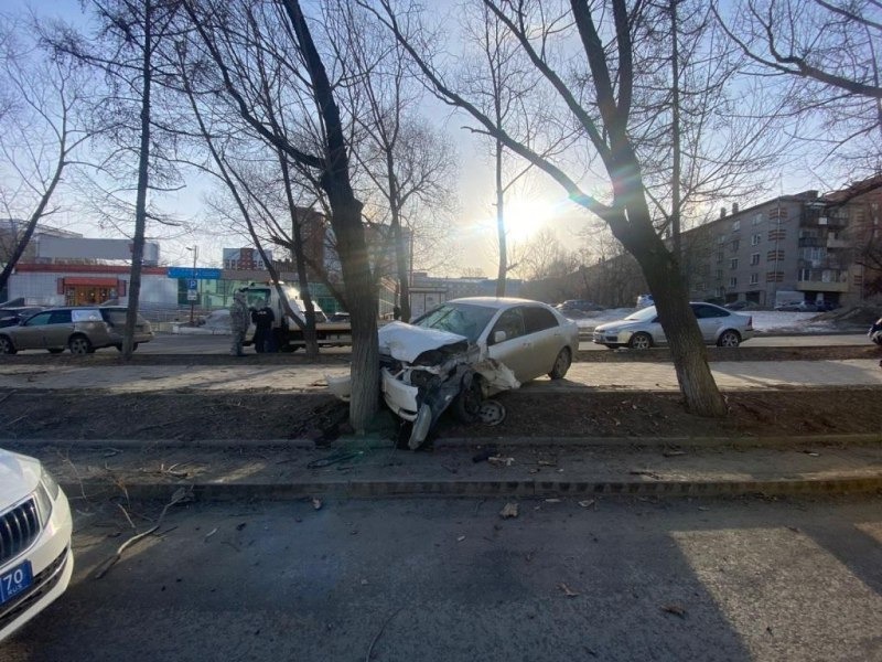 Водитель «Тойоты» попал в больницу, въехав в дерево на Красноармейской в Томске
