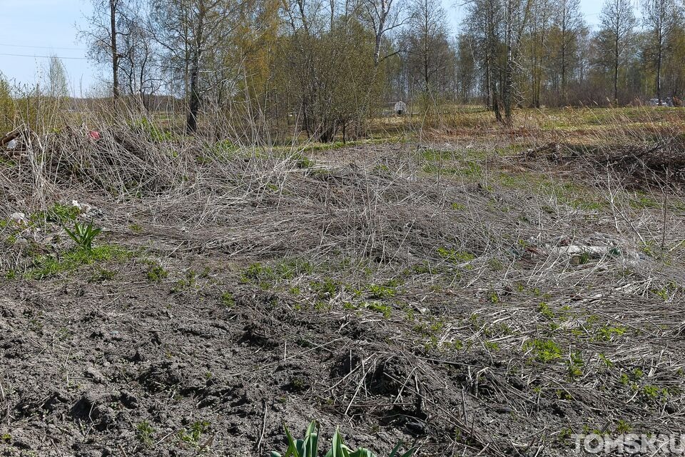 Контроль за разведением костров: в Томске патрулируют дворы и прилегающие леса