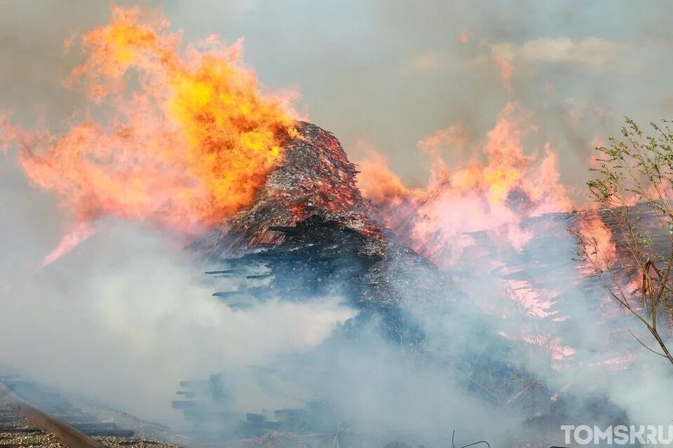 Три лесных пожара тушат в Томской области
