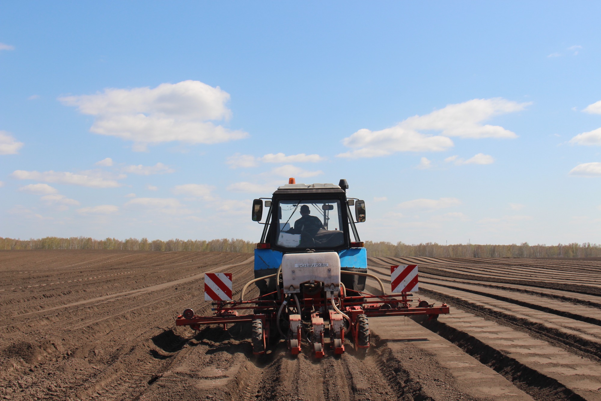 Хозяйства Томской области начали сажать картофель