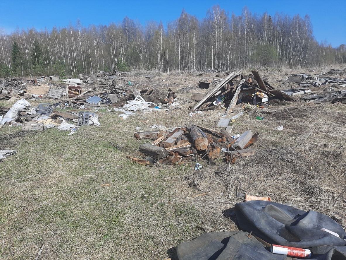 Несонкционированные свалки обнаружили на сельхозугодьях в двух районах Томской области