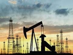 "НГК "Славнефть" за январь-сентябрь 2009 г. сократило добычу нефти на 3,9% &ndash; до 14,2 млн. тонн по сравнению с аналогичным периодом 2008 г.